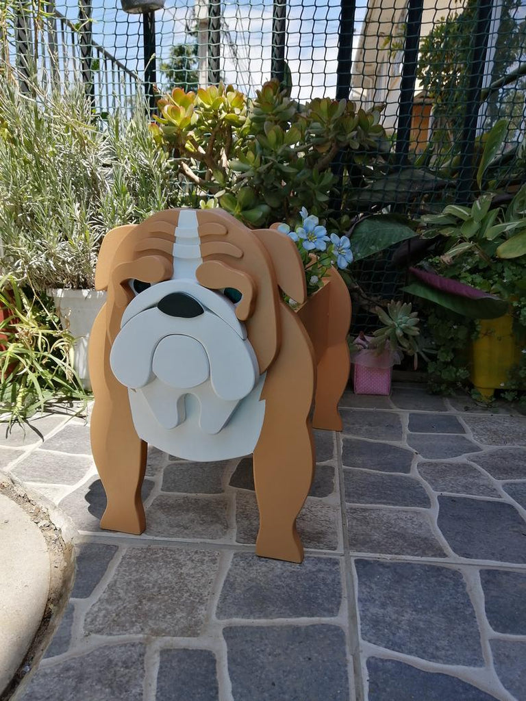pet for house planter Pet Planters (THESE WILL NOT BE SHIPPED) – Hammer & Stain