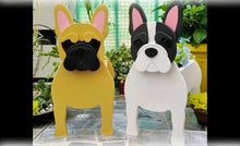 Pet Planters (THESE WILL NOT BE SHIPPED)